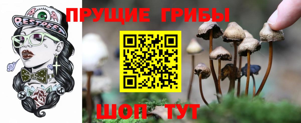 Псилоцибиновые грибы Cubensis  продажа наркотиков  Псилоцибиновые грибы Psilocybine cubensis  Красный Сулин  Вход с VPN 
