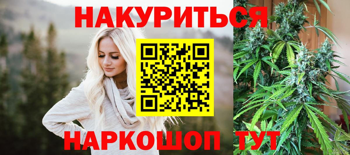 Бошки Шишки семена  Конопля семена  МАРИХУАНА конопля  Красный Сулин  Вход с VPN 